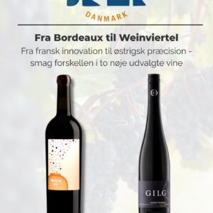 vinsmagning